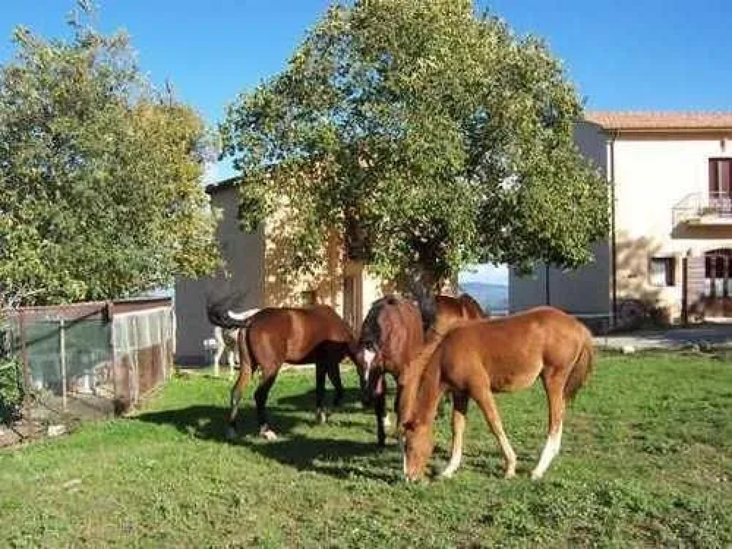 Agriturismo Noce Torta