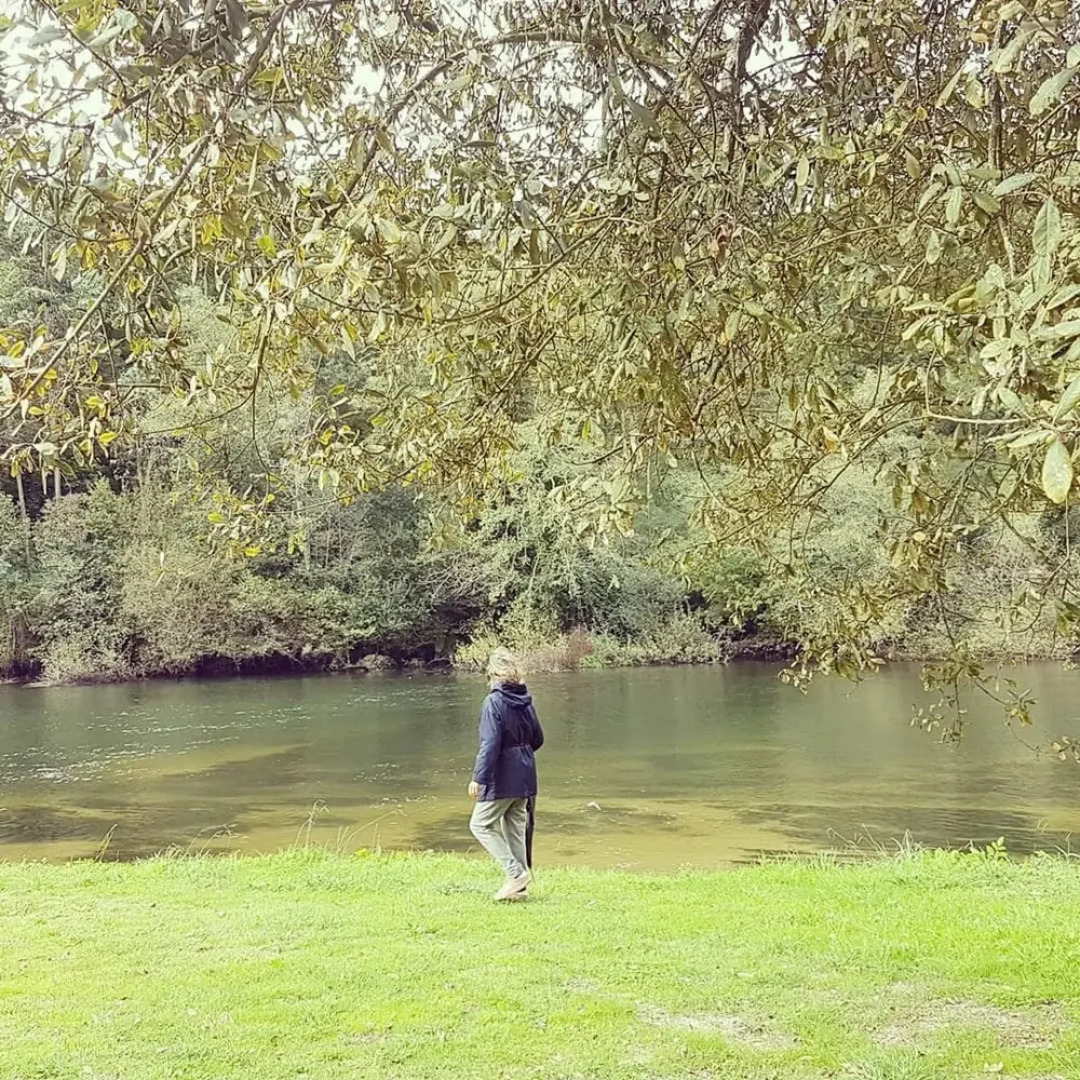 Tree Pool Villa in Arcos de Valdevez