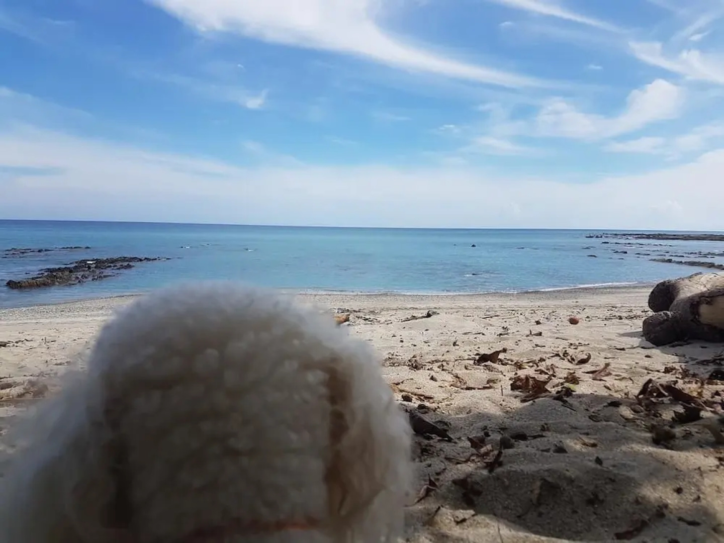 Pura Vida House Cabo Blanco