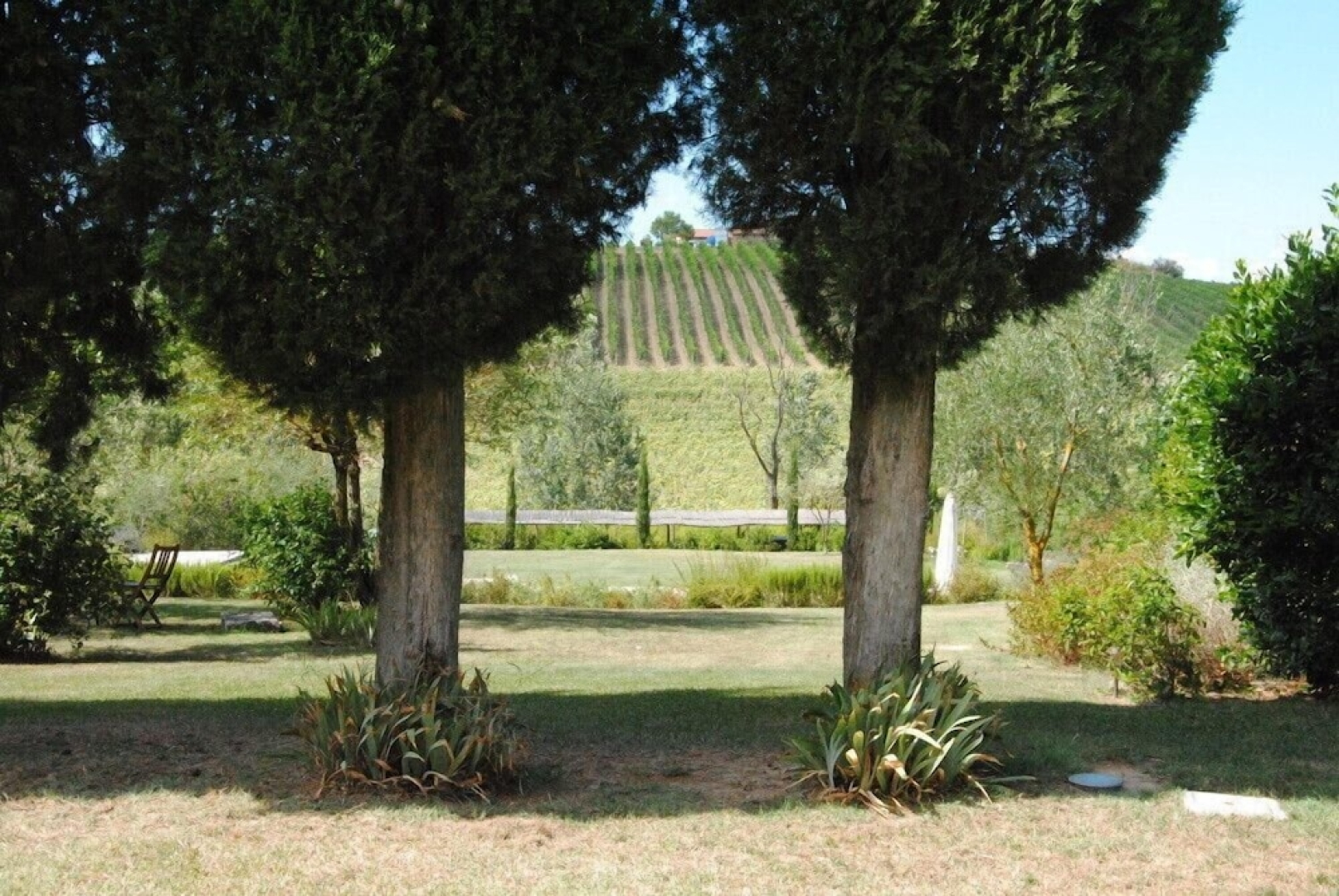 Verdidea - PIAN DELL'ASSO (up to 26 people)