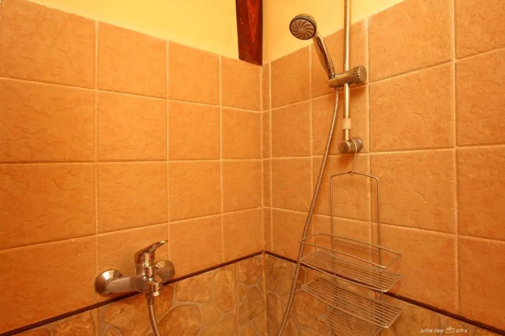 Under the Walnut Tree Shade Lodge