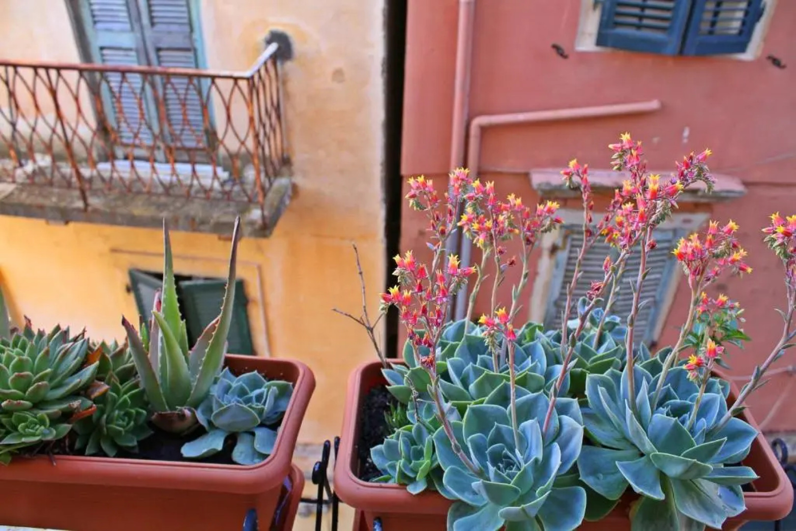 Corfu old town 100m2