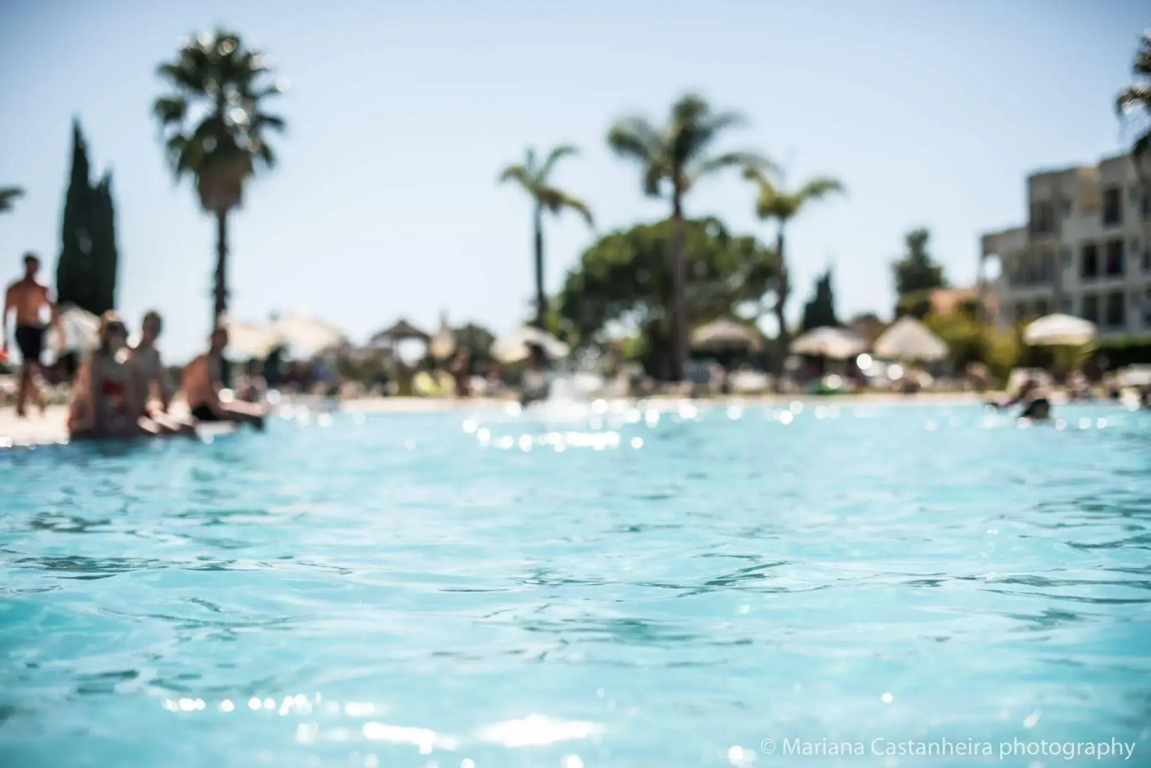 The Navigator - Palm Oasis Alvor