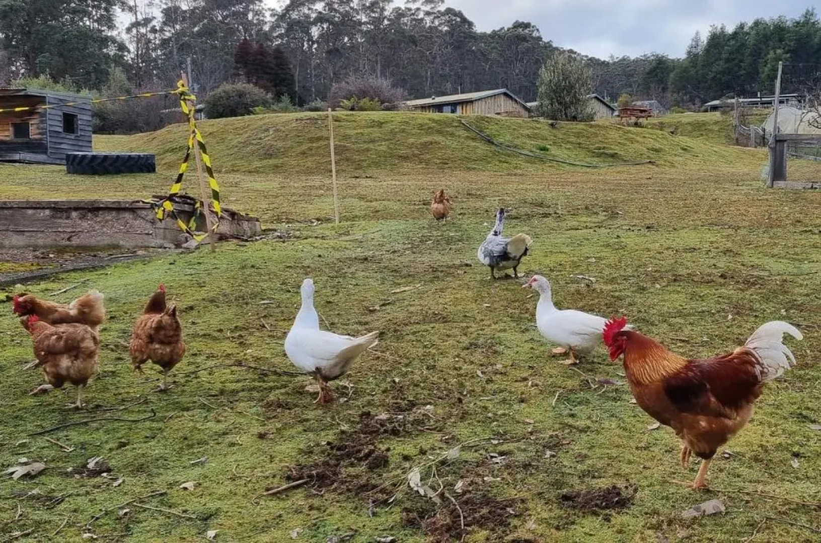 Silver Ridge Retreat