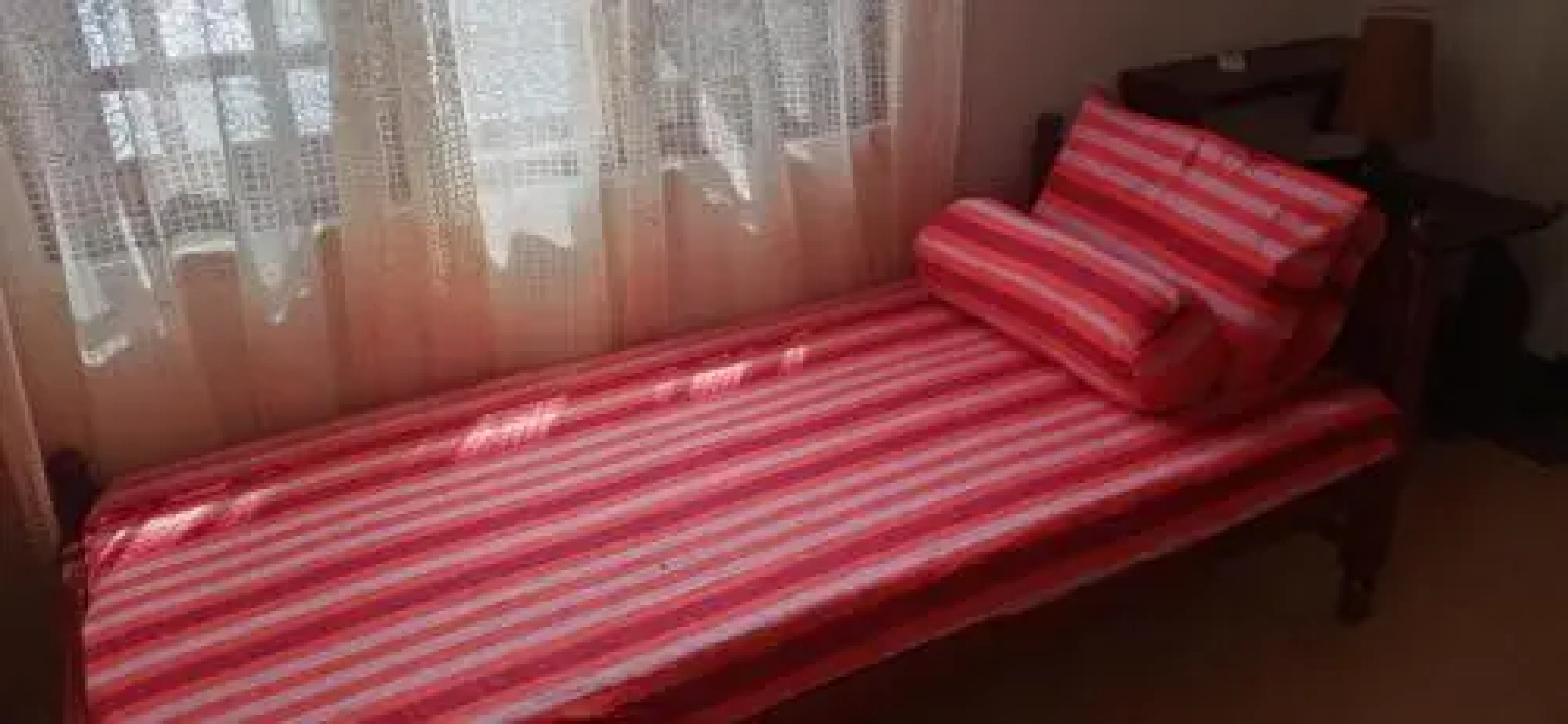 Jungle View apartment