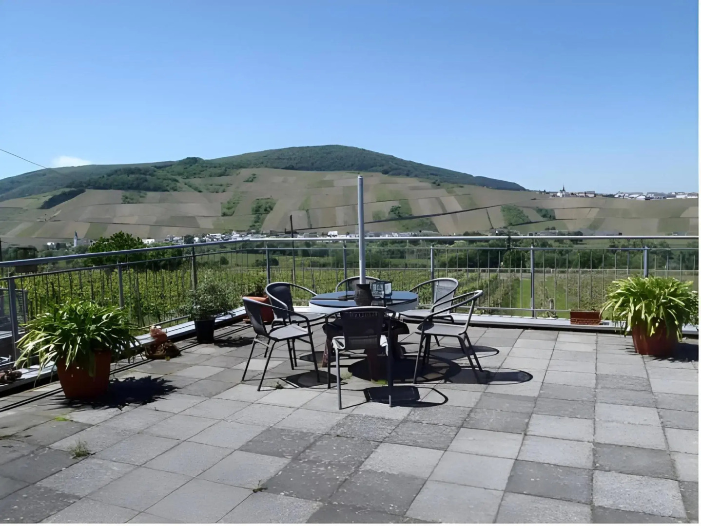 Weingut-Pension Tiliahof