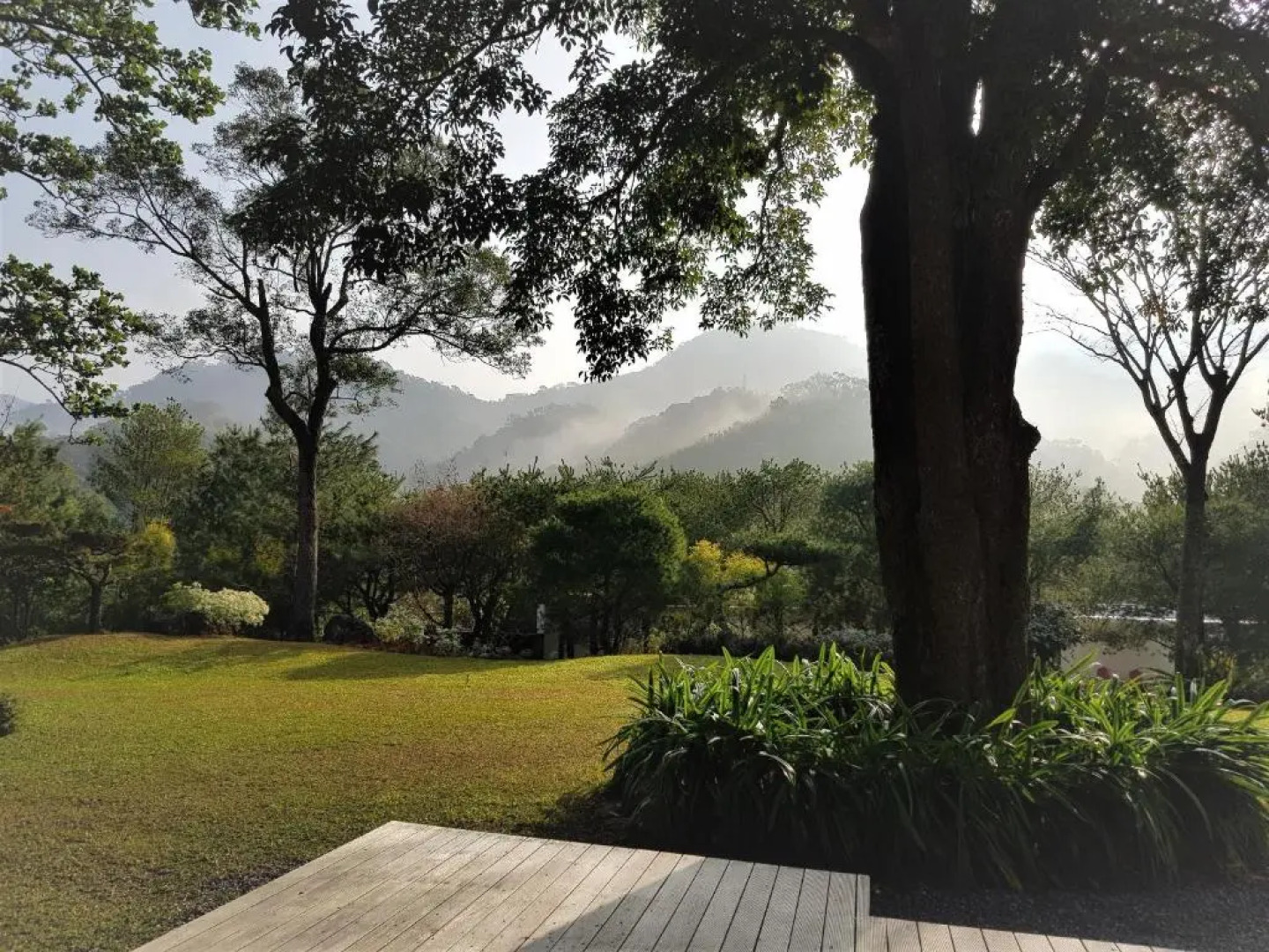 Around The Tree Manor