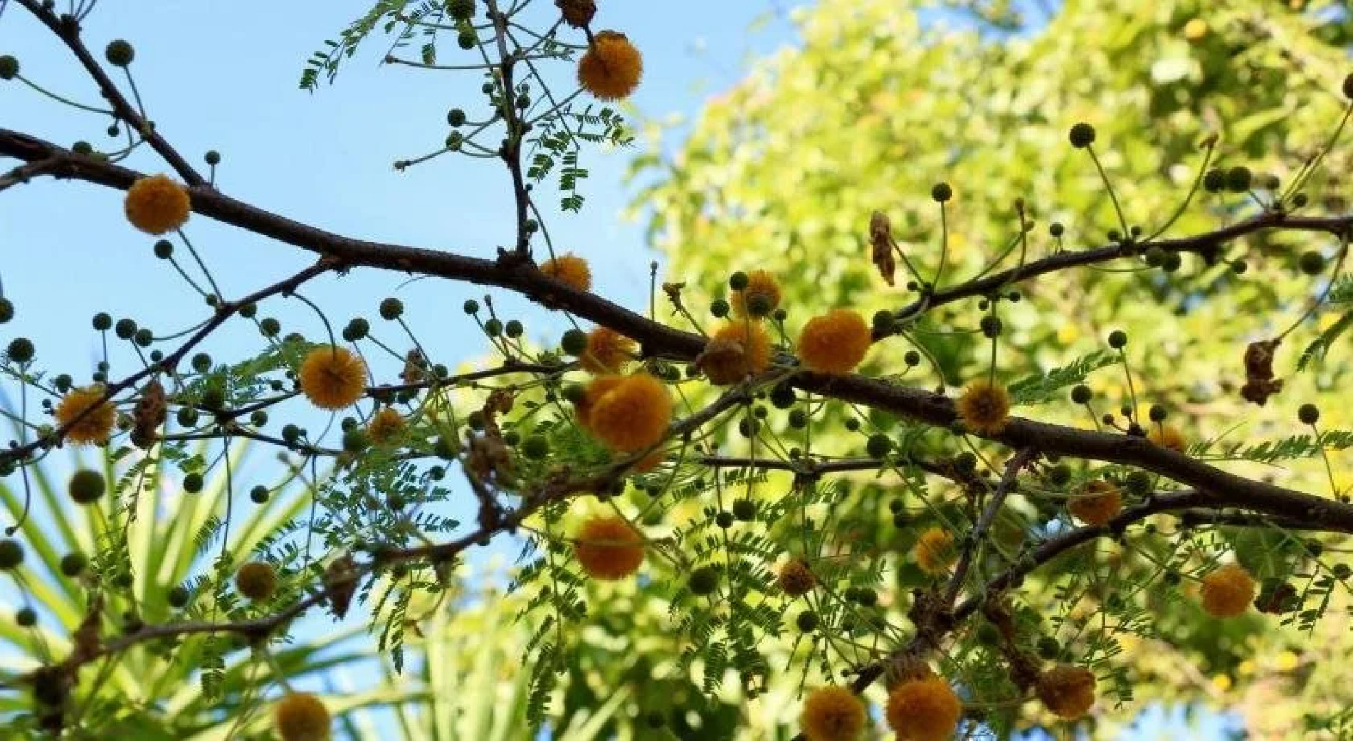 La Gaggia Guest House