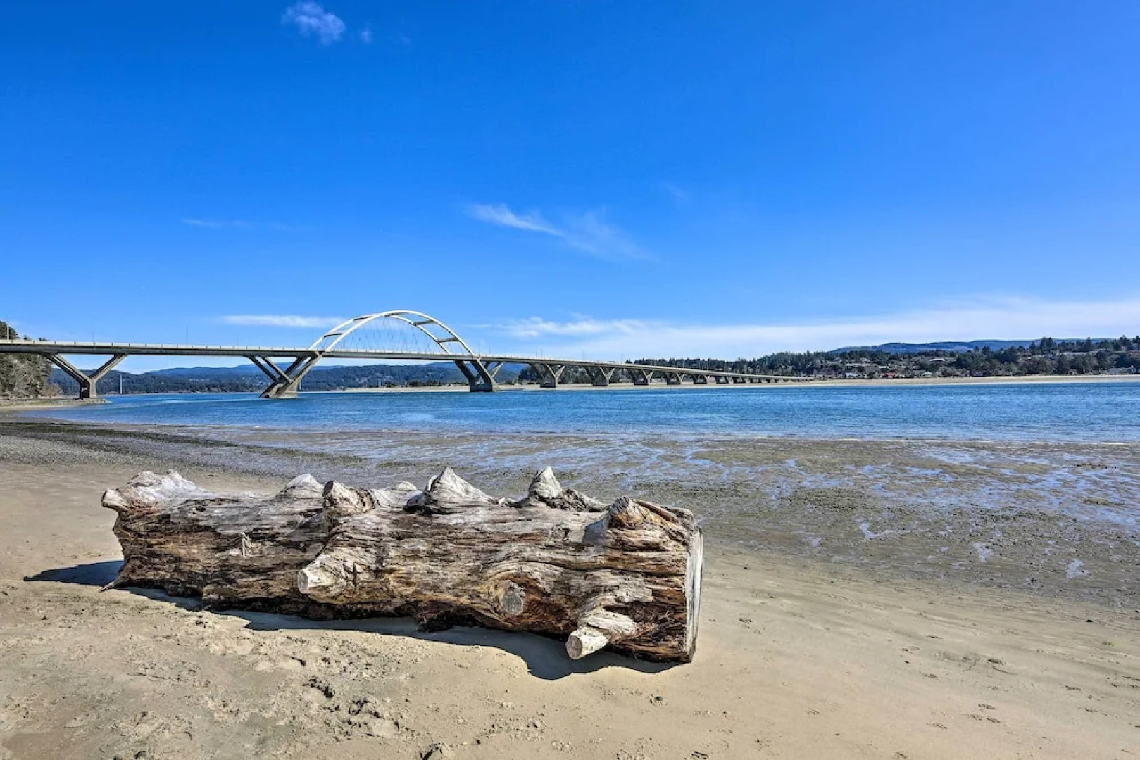 Sanderling Sea Cottages, Unit A: Pet Friendly!