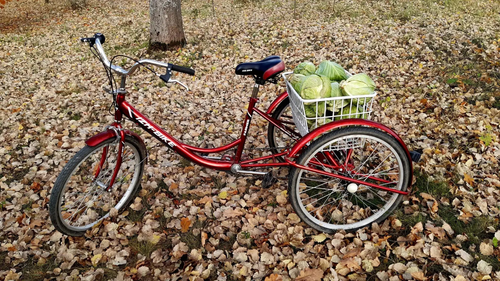 Дом в деревне Чернокуново