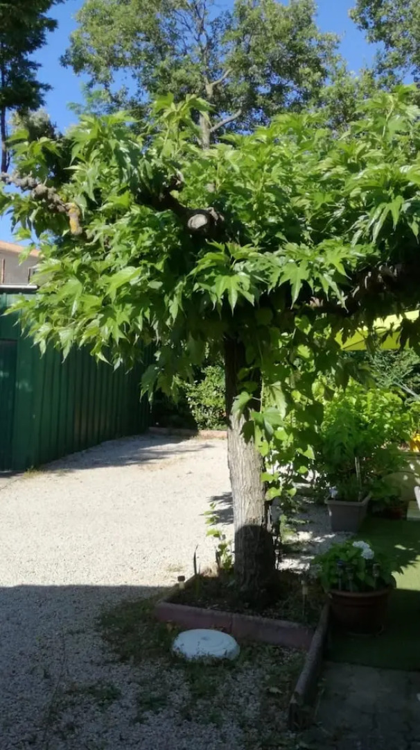 Apartment With one Bedroom in Saint-laurent-des-arbres, With Enclosed