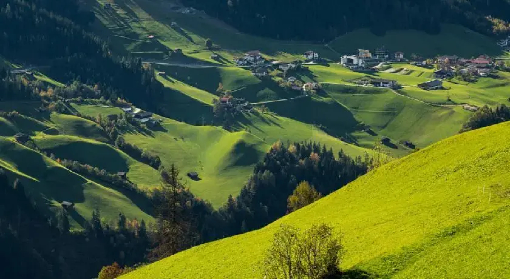 Bluebird Freeridebase Zillertal
