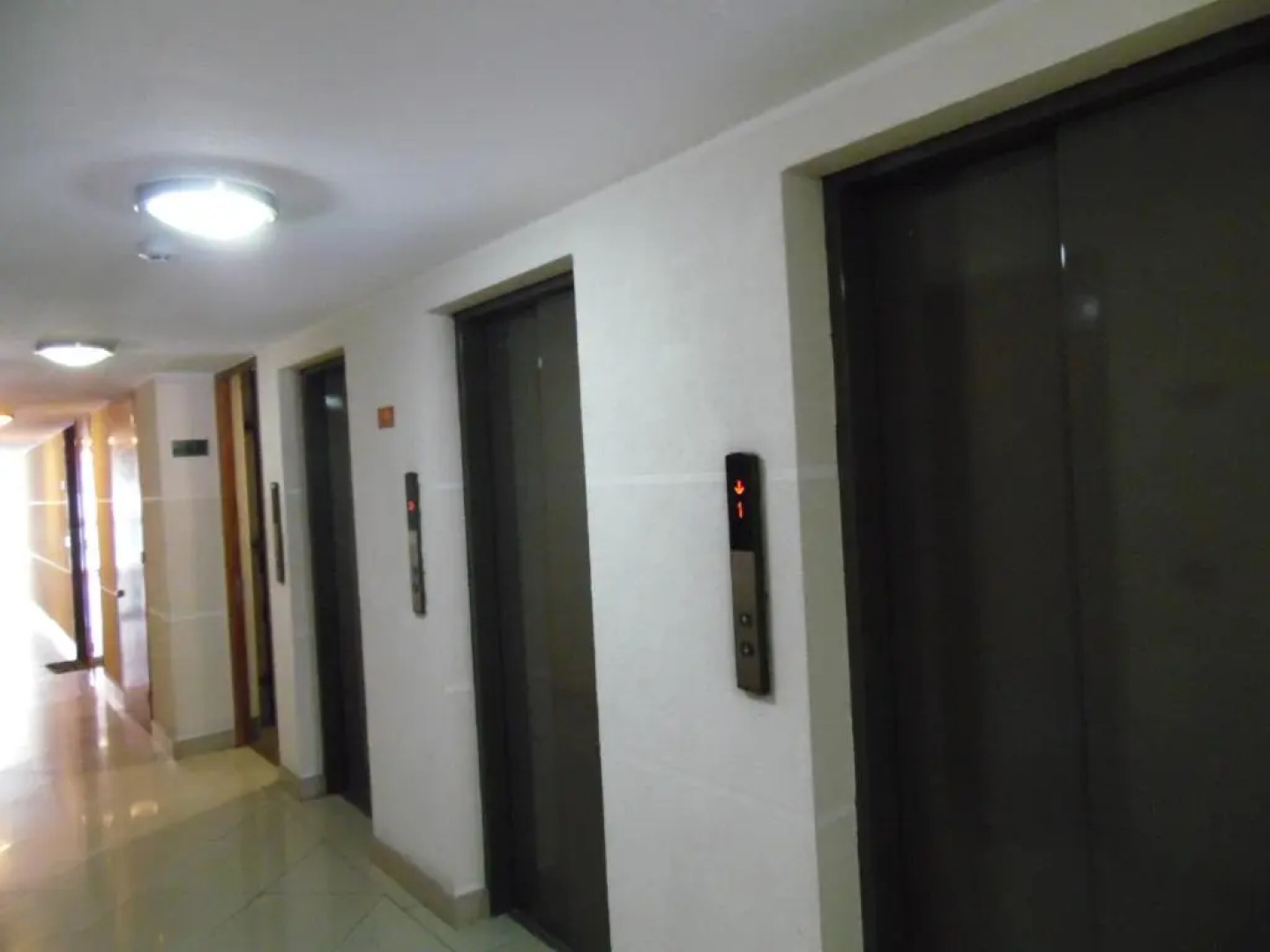 Kuizi departamento Manuel Montt