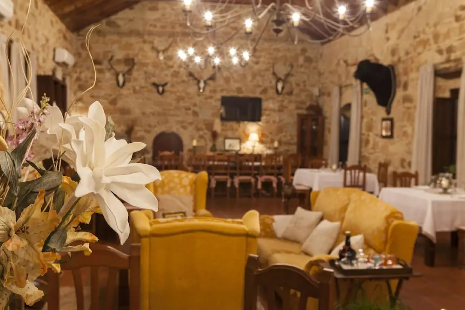 Complejo Turistico el Cotillo