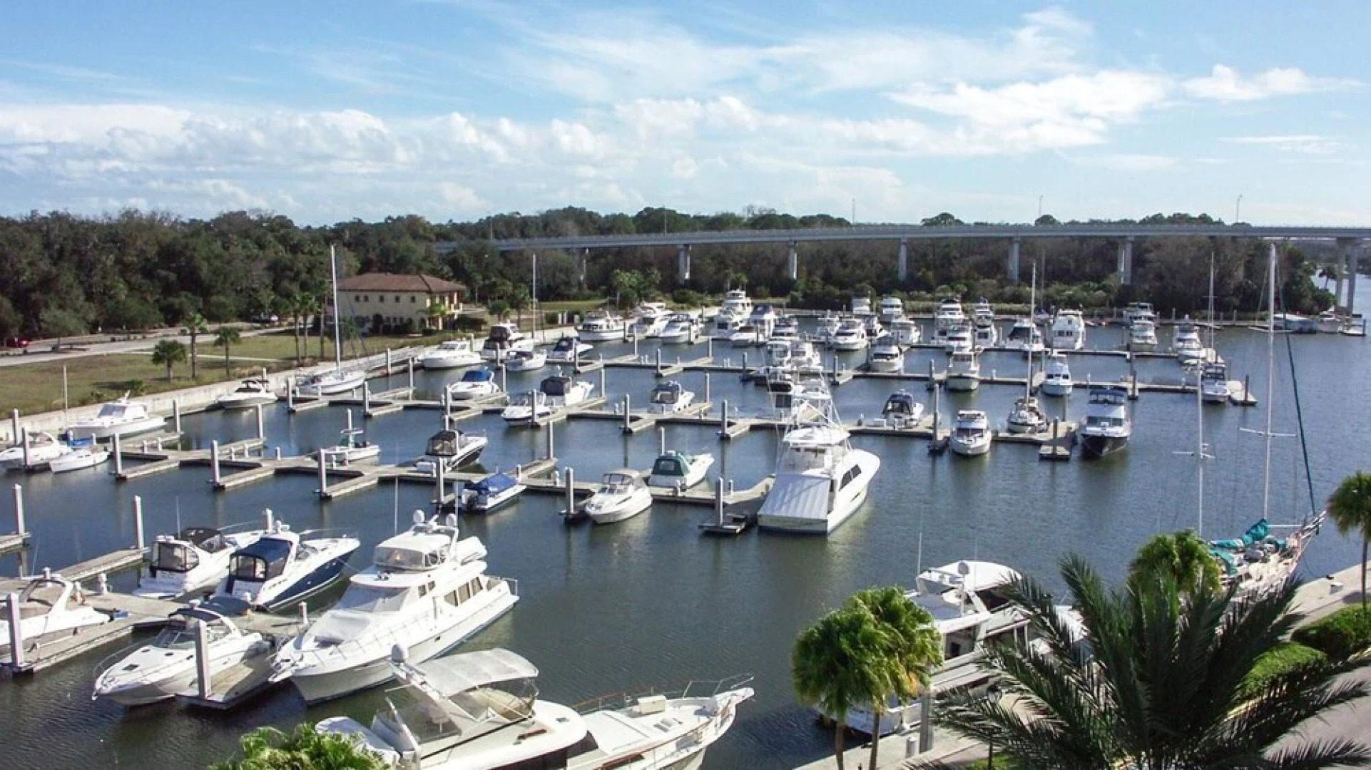 Yacht Harbor