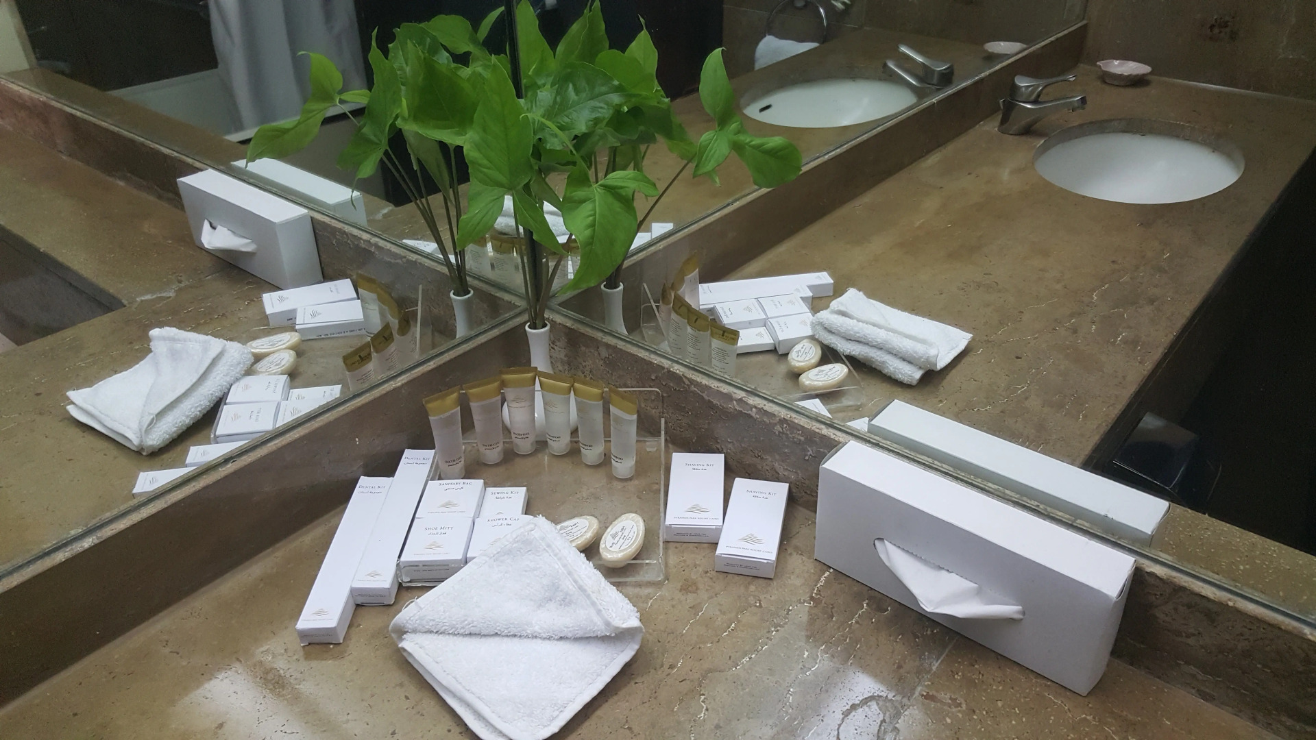 Pyramids Park Resort Cairo