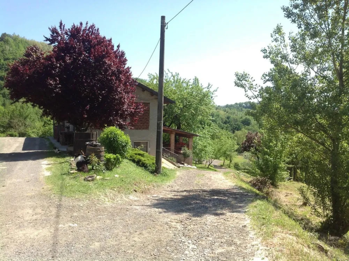 Agriturismo Il Picchio Verde