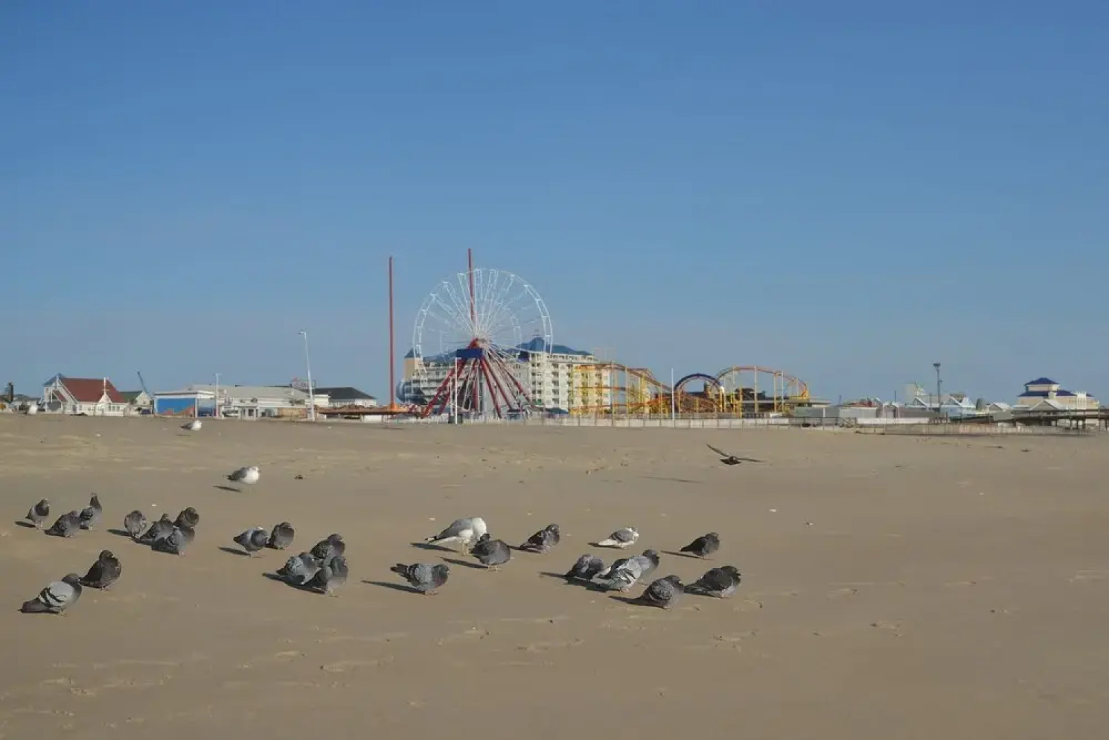 New Listing! Waterfront W/ Screened Porch 5 Bedroom Home