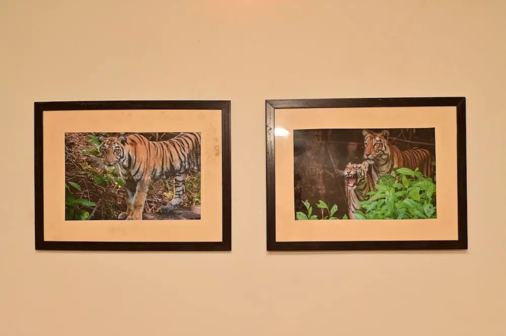 Tigers Heaven Resort