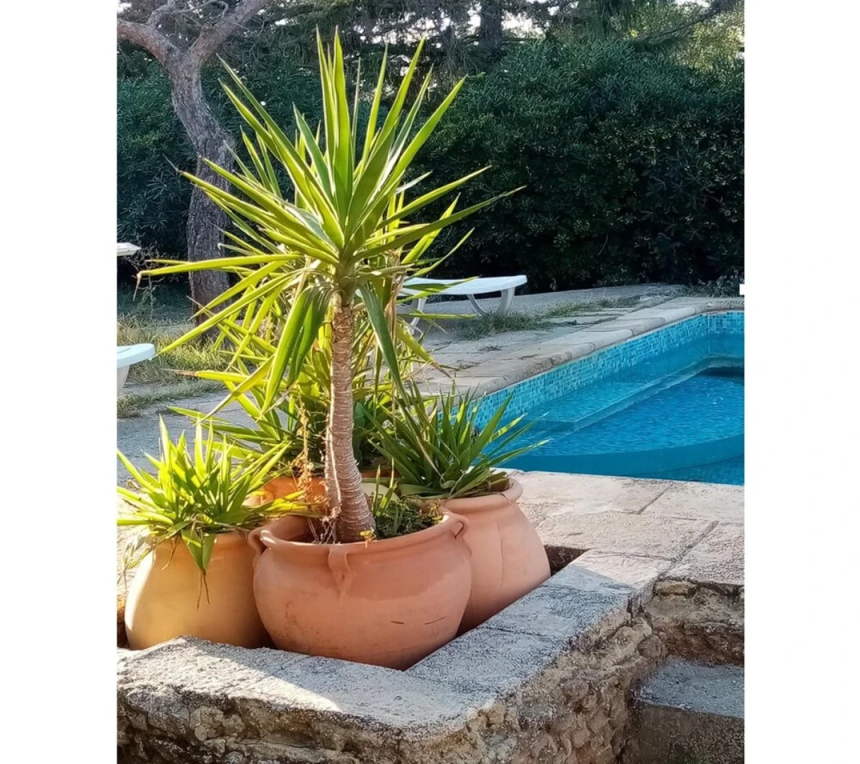 Apartment With one Bedroom in Sorgues, With Shared Pool, Enclosed Garden and Wifi