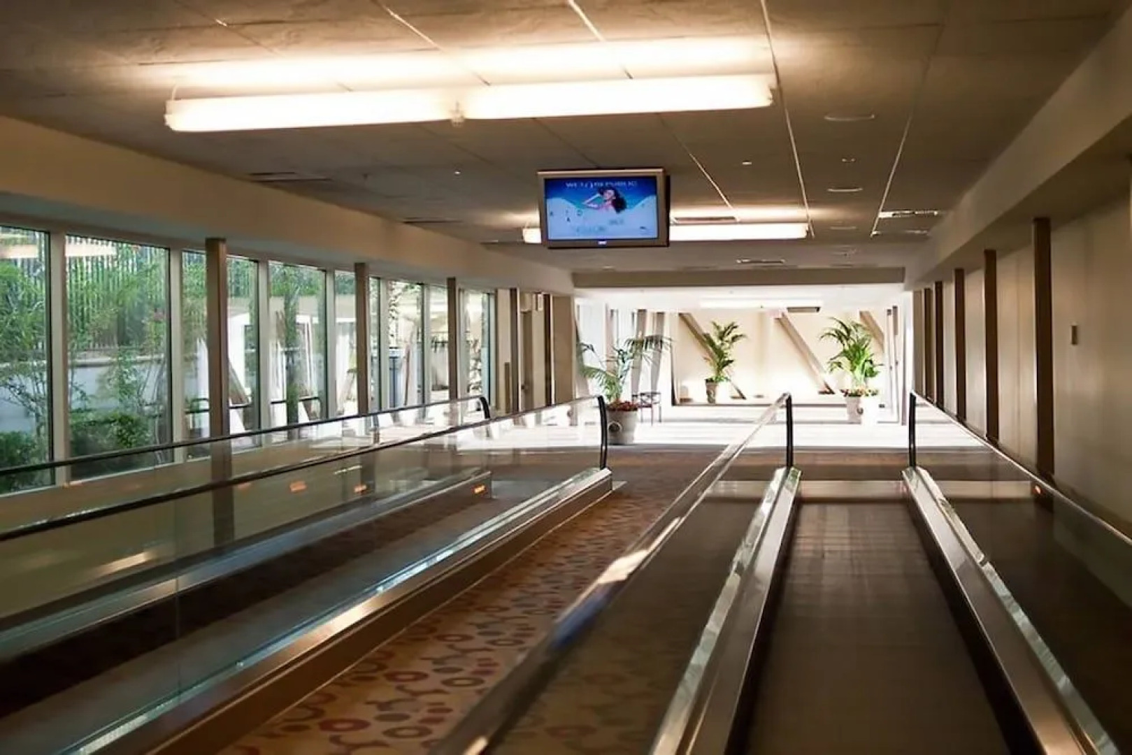 Signature Suites Collection