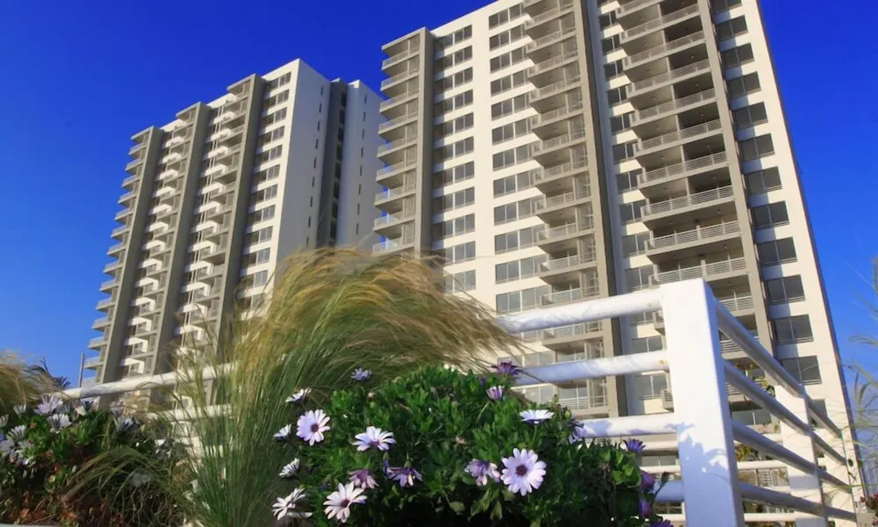 Pacifico Arica El Paso