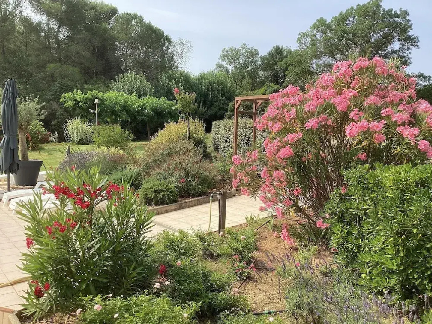 Villa in France With Private Pool & Garden