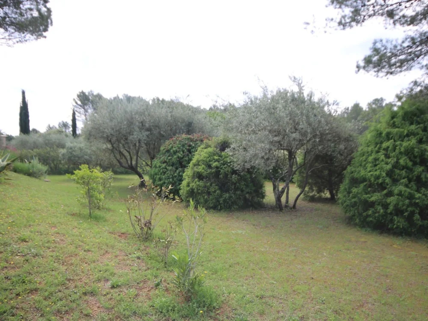 Charming Villa in Salernes France With Parking Space