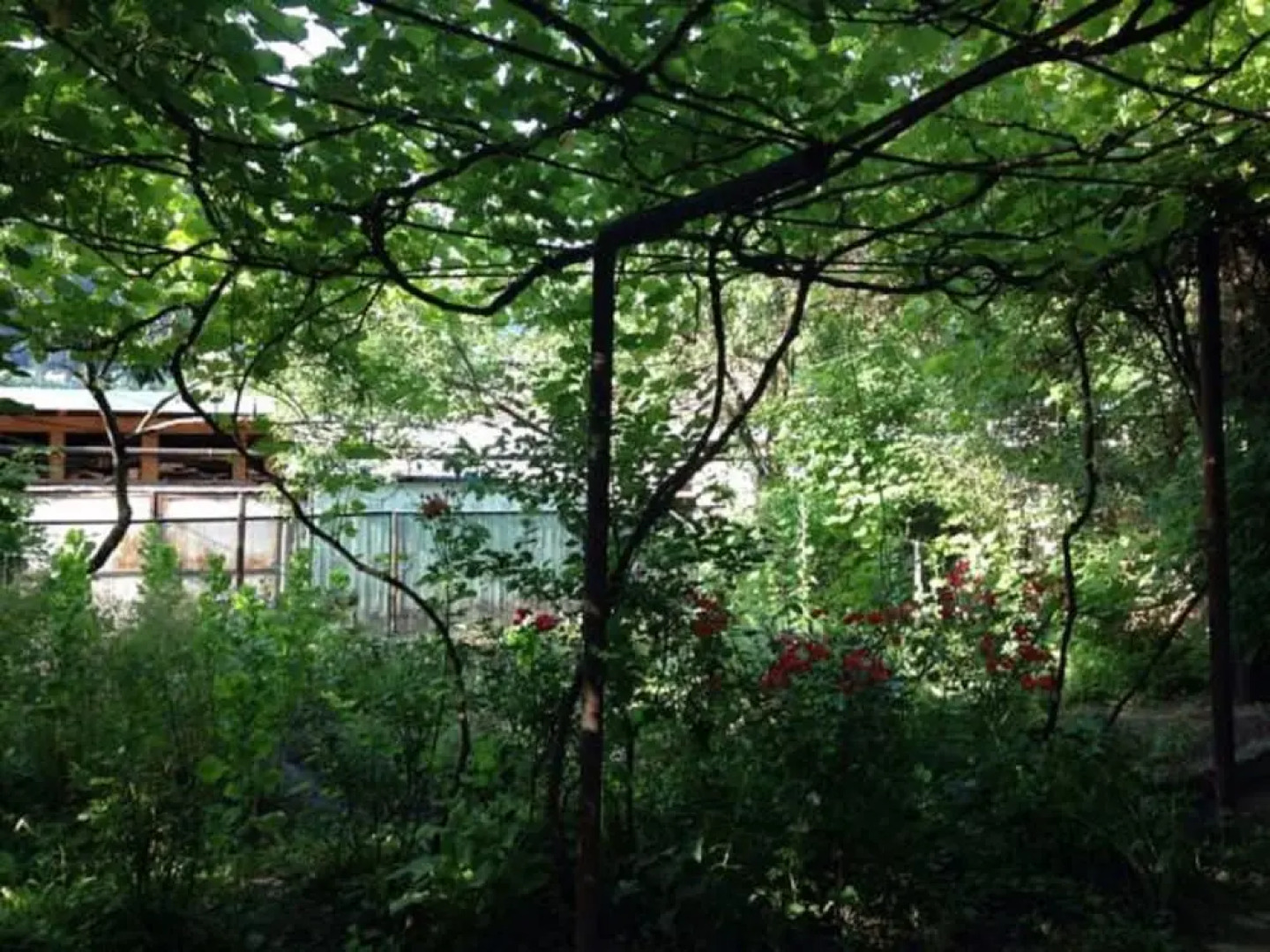 Гостевой дом Besarioni