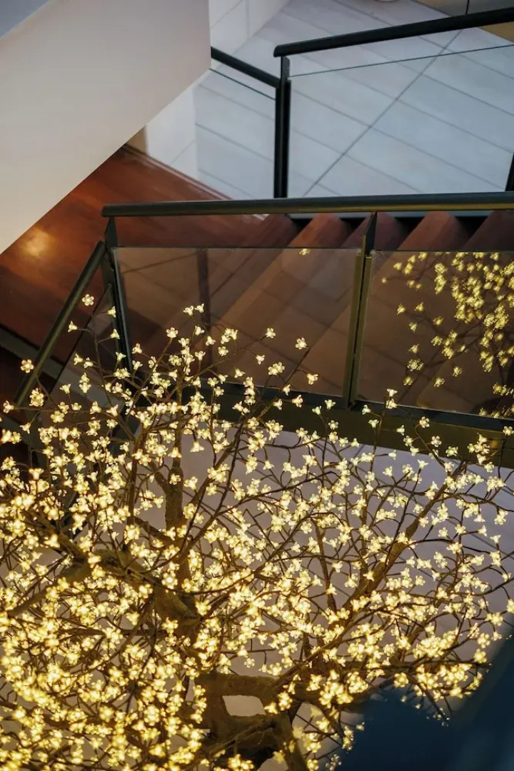 Hotel Cetina Cabo de Palos Puerto