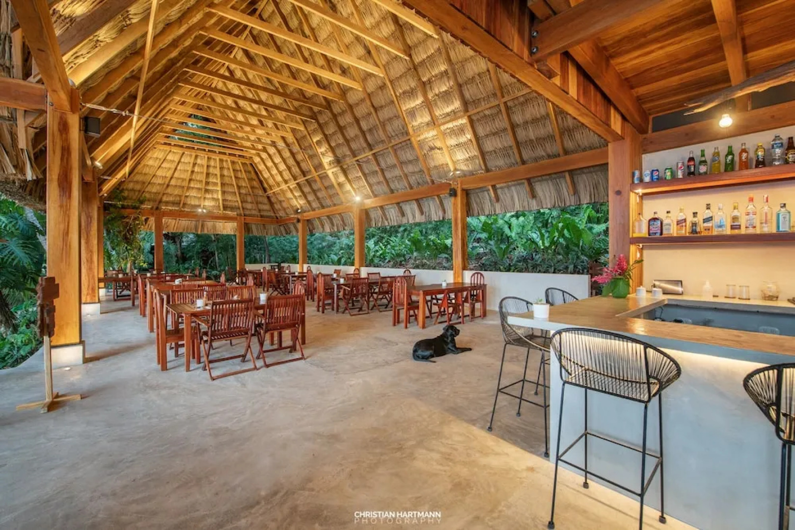 Hotel Gringo Perdido