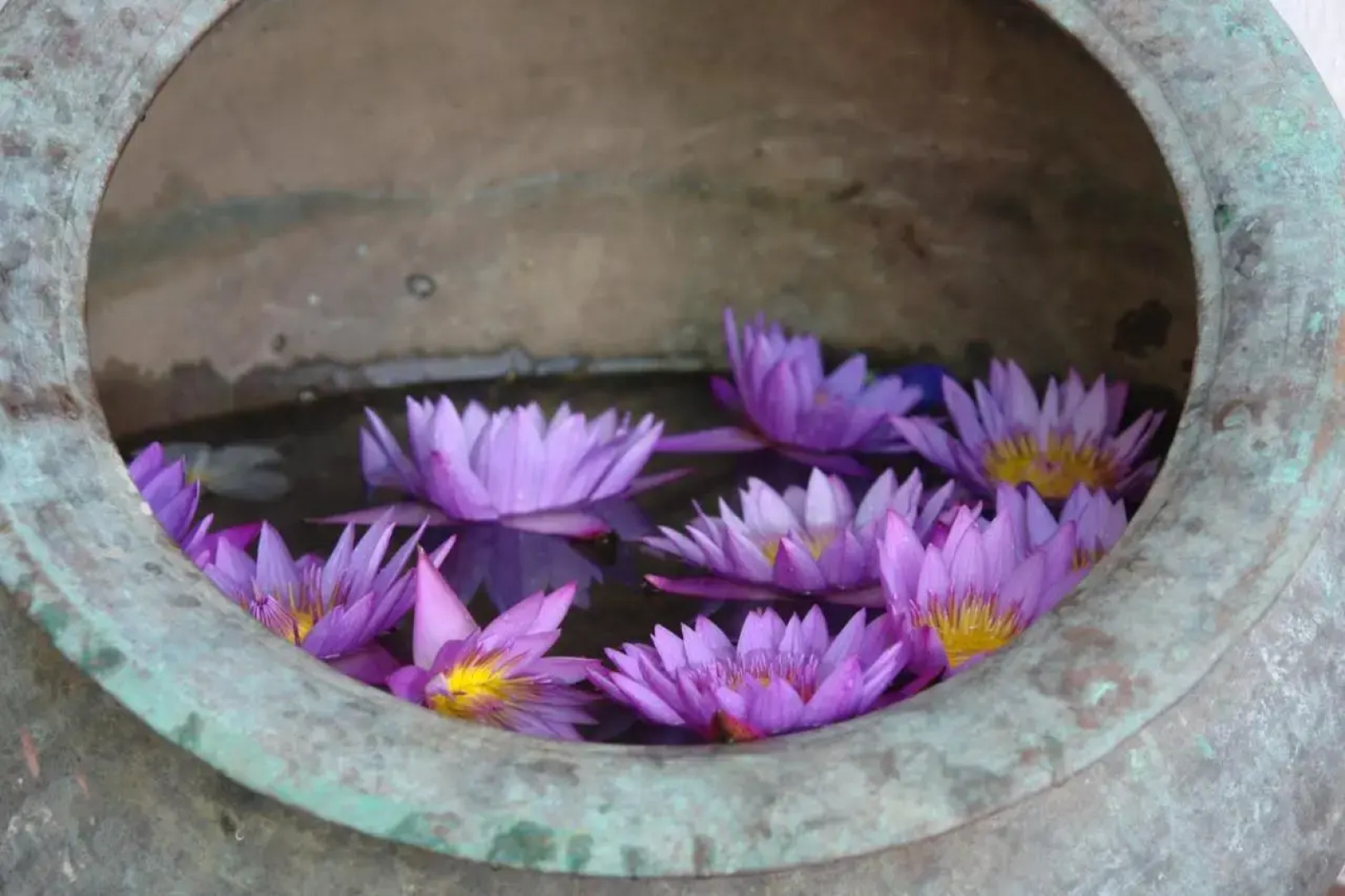 Galawatta Beach Resort