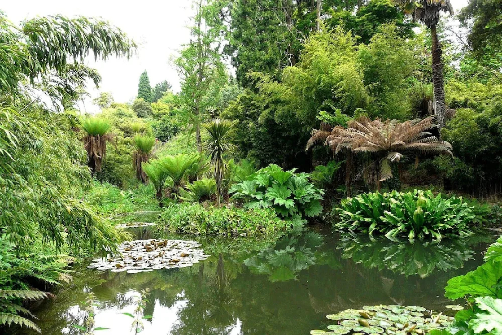 A spacious barn conversion with charming features near Looe