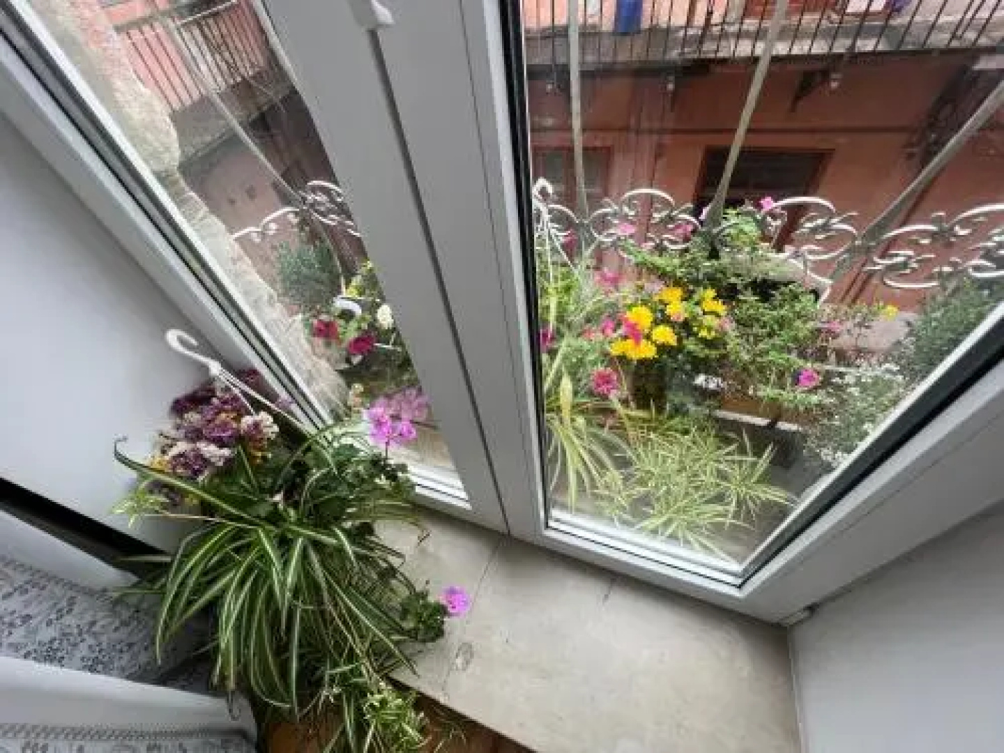 Apartment in center