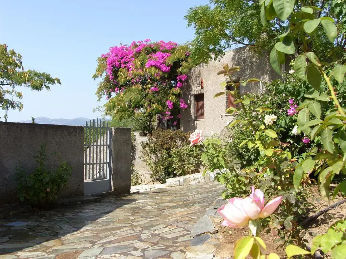 Cavo Grosso Bungalows