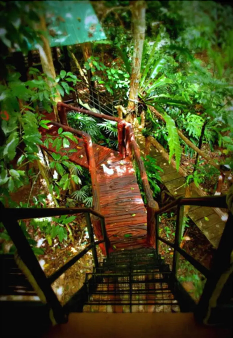 Khao Sok Tree House