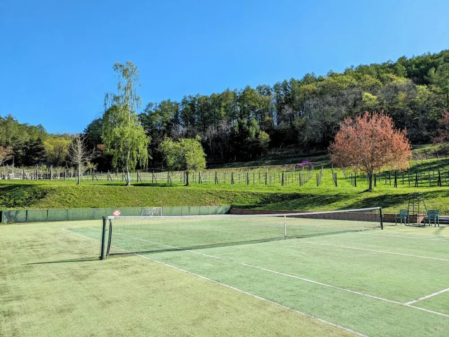 Loghotel The Maplelodge