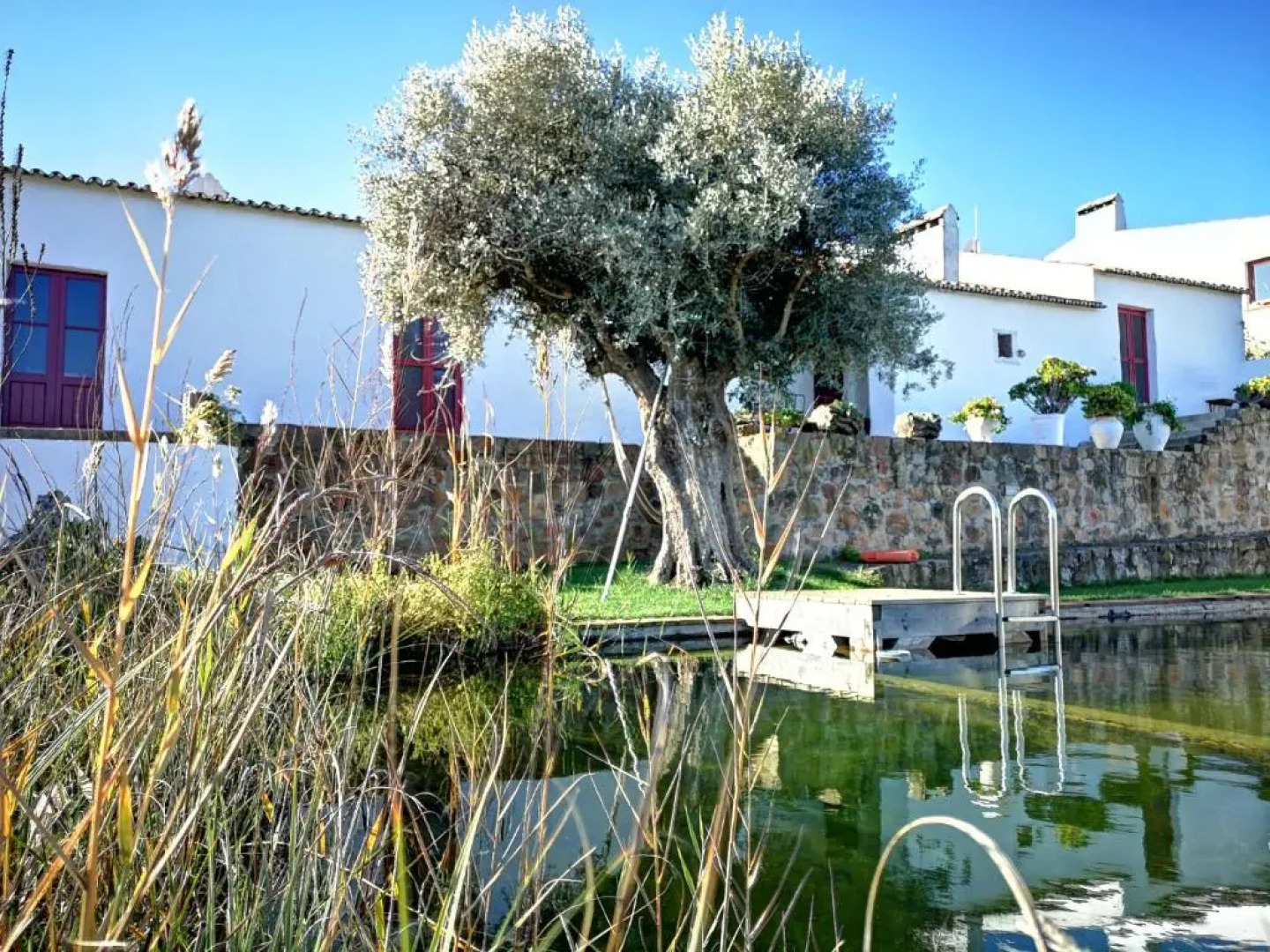 Casa Do Alto Da Eira