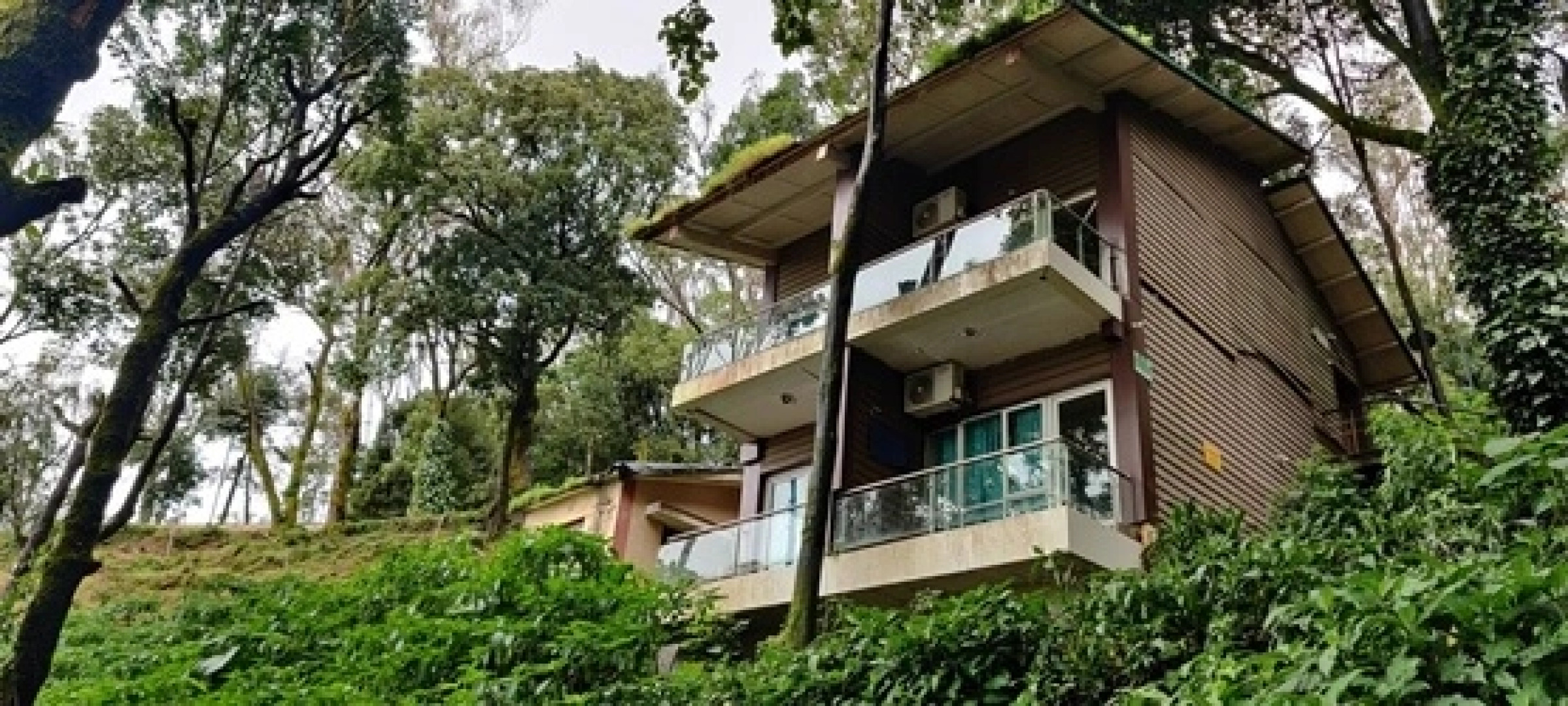 Kemmannugundi Hill Resort by Jungle Lodges