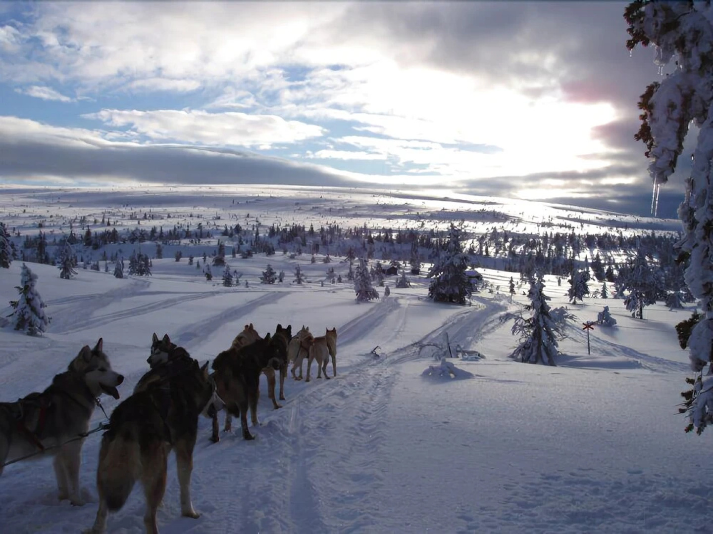 Schweden Aktiv Adventure Resort