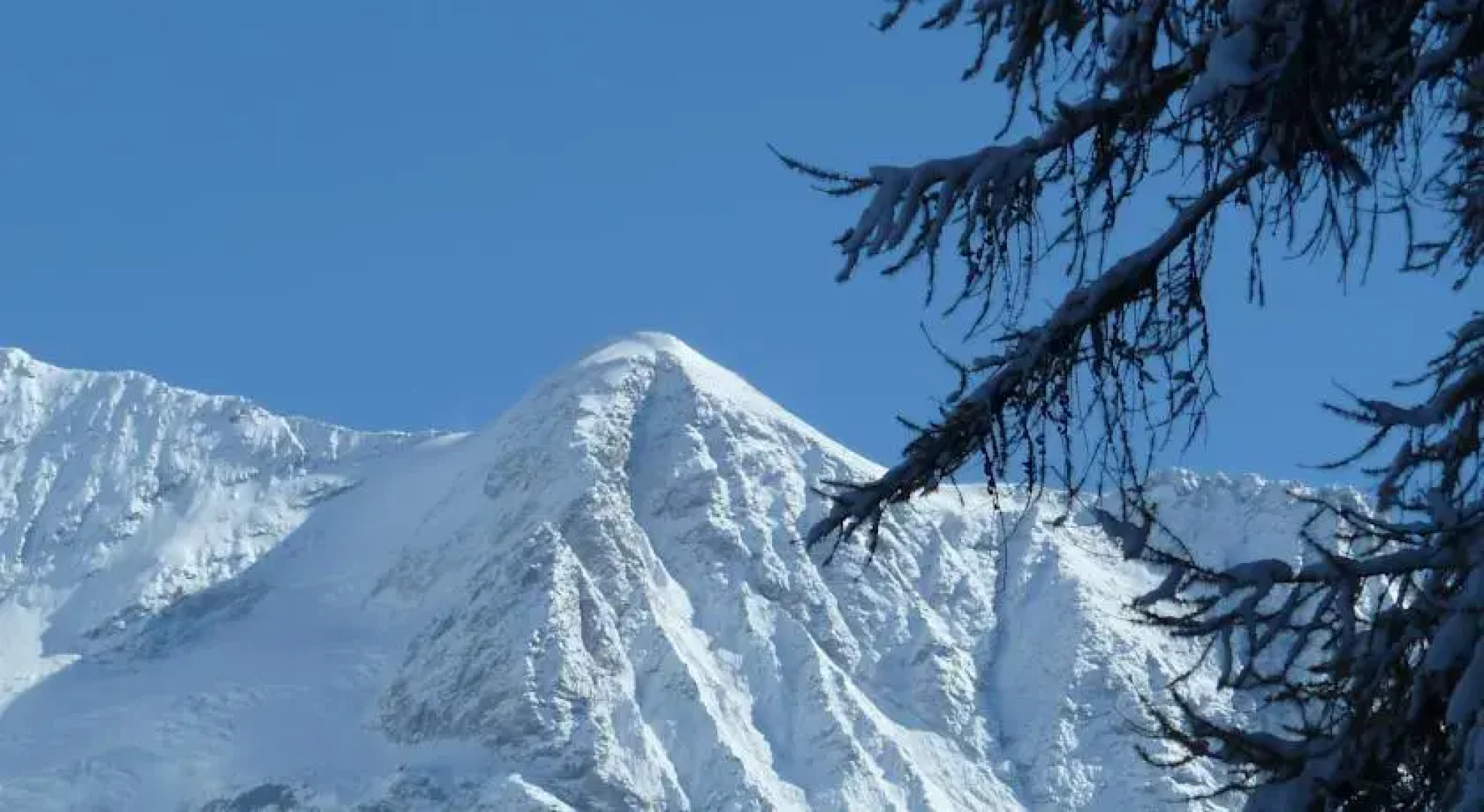 Hostel Maison des Quatre Balcons