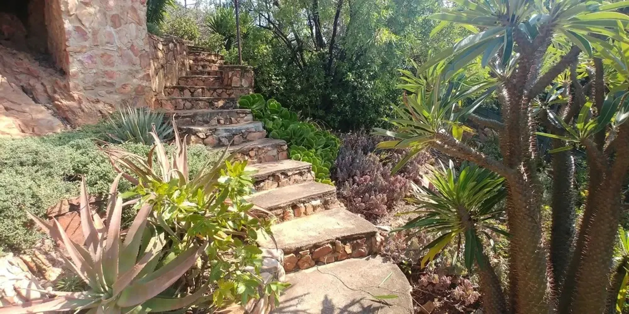 Aloe Guesthouse Pretoria