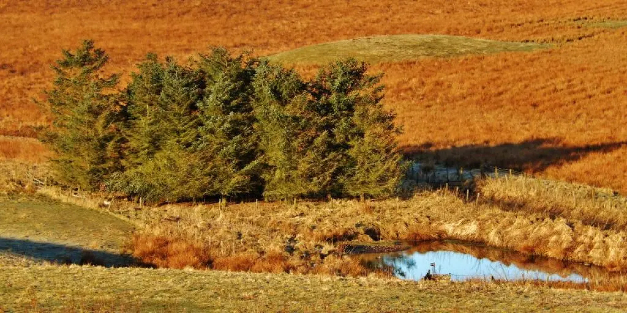 Scotland Shooting Club