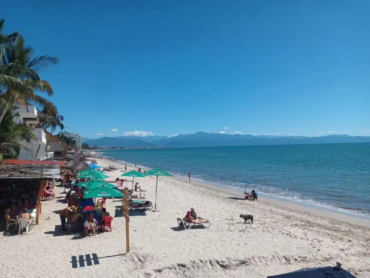 Casa Ana Ruth Hotel y Suites