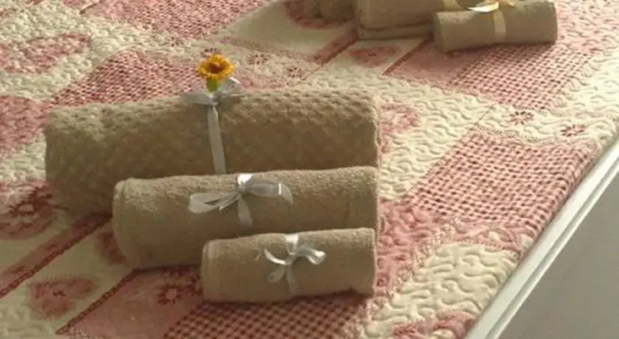 Agriturismo Cascina Tollegna