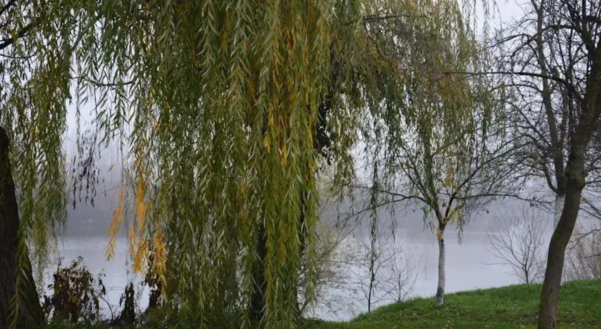 Rooms And Apartments at River