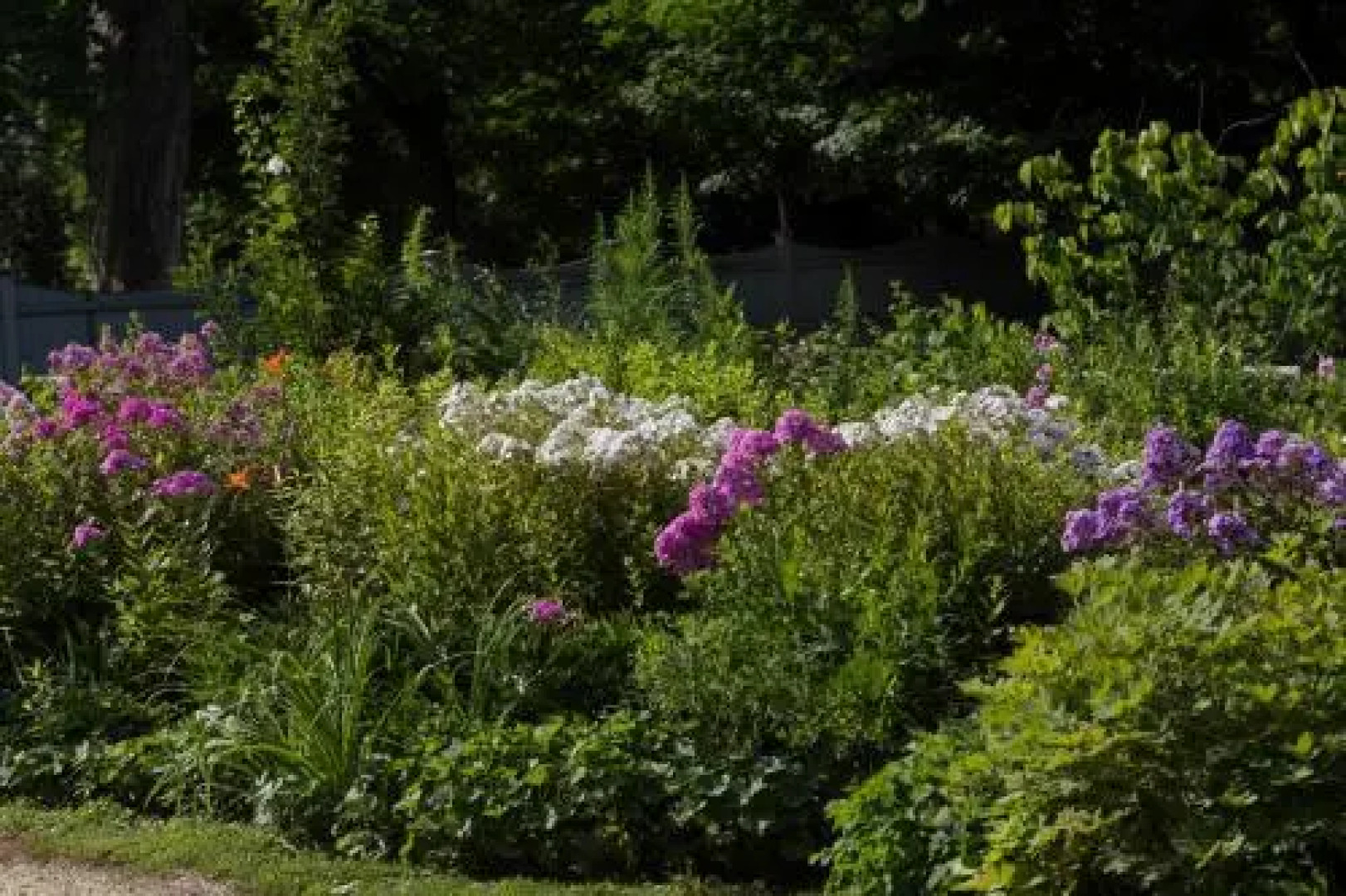 Staveleigh House Bed and Breakfast