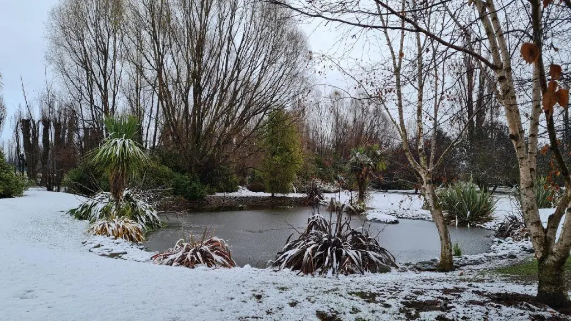 The Orchard House, Wanaka