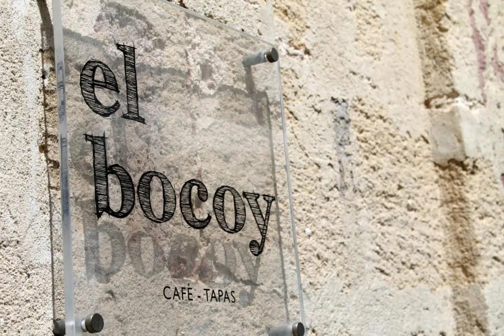 Casa Palacio de Los Leones