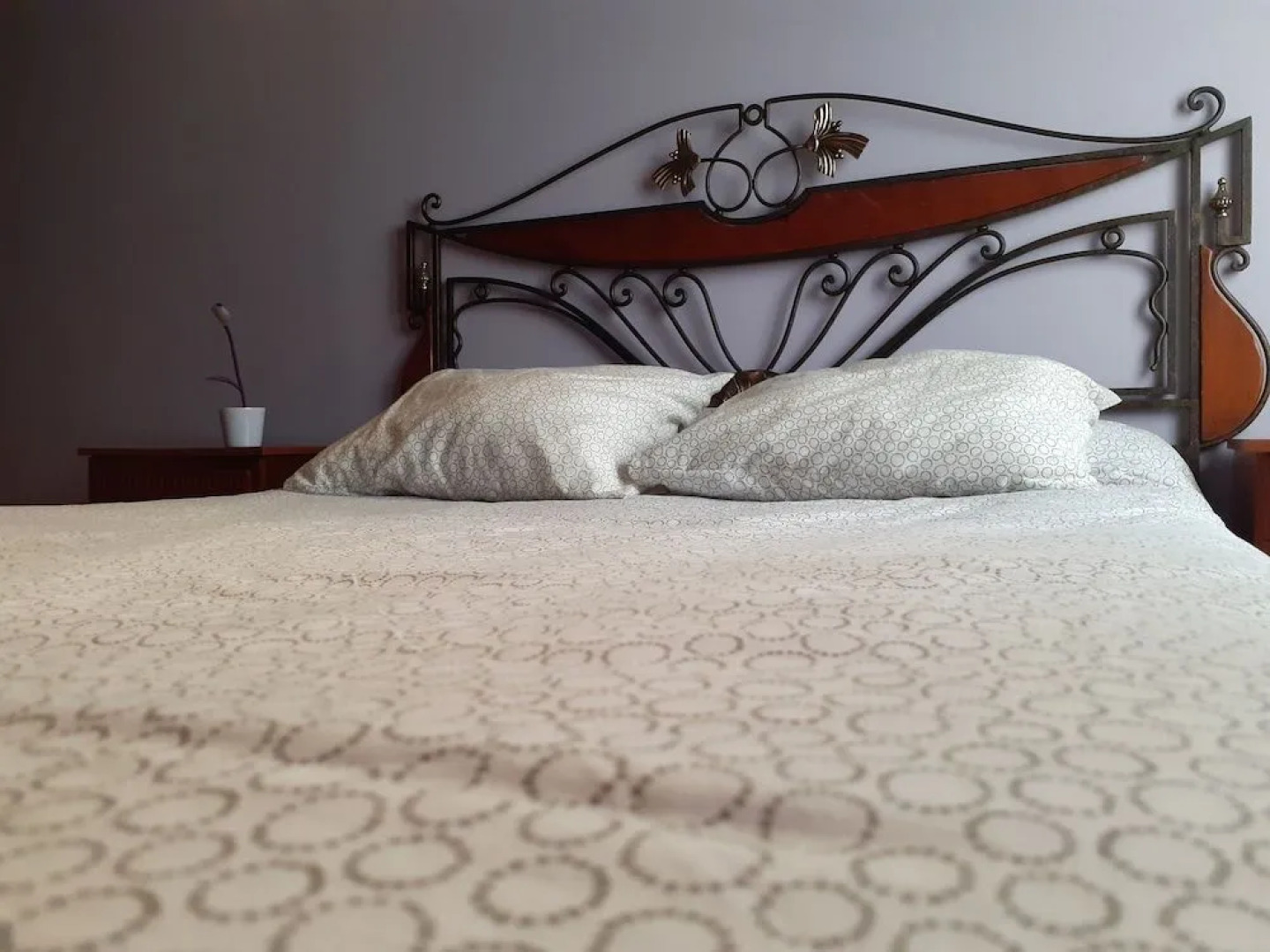 El Puntual de Romillo Hostel